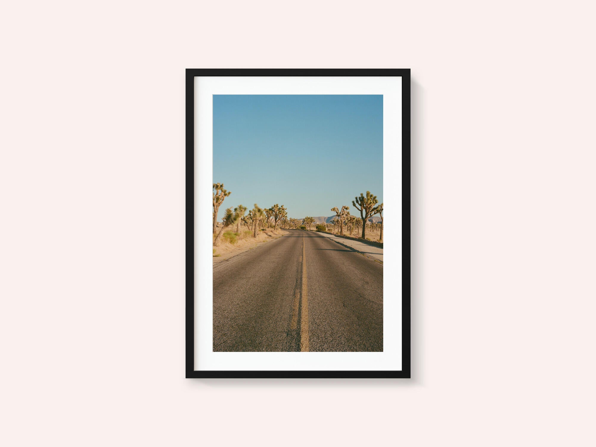 Joshua Tree Road II