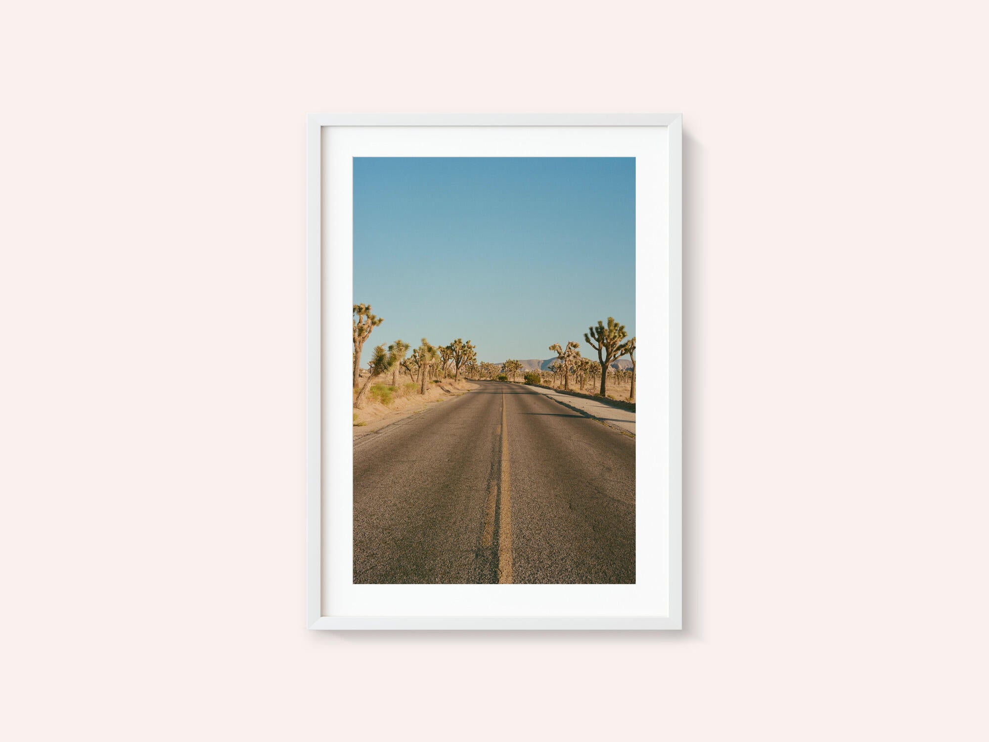 Joshua Tree Road II