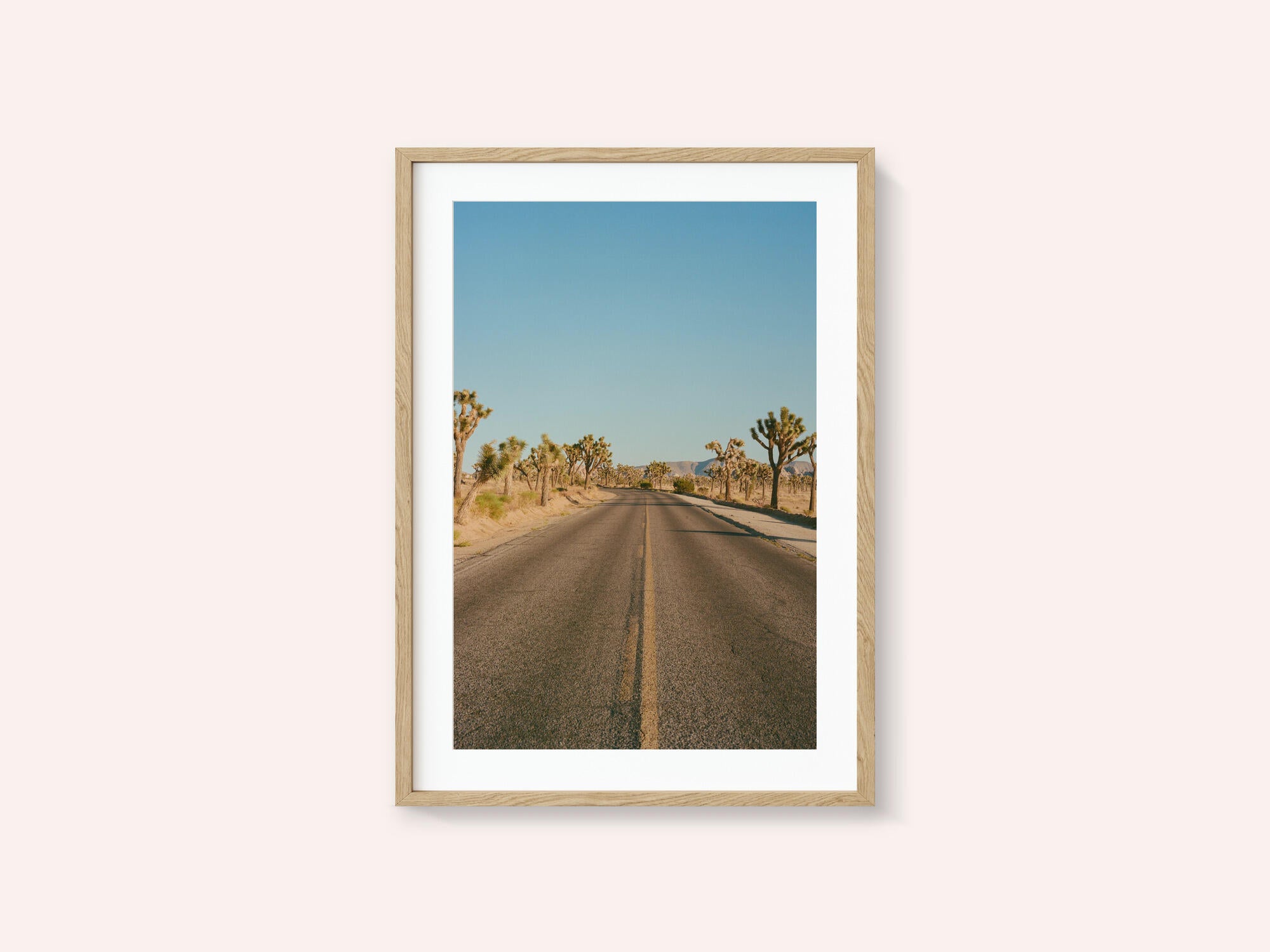 Joshua Tree Road II