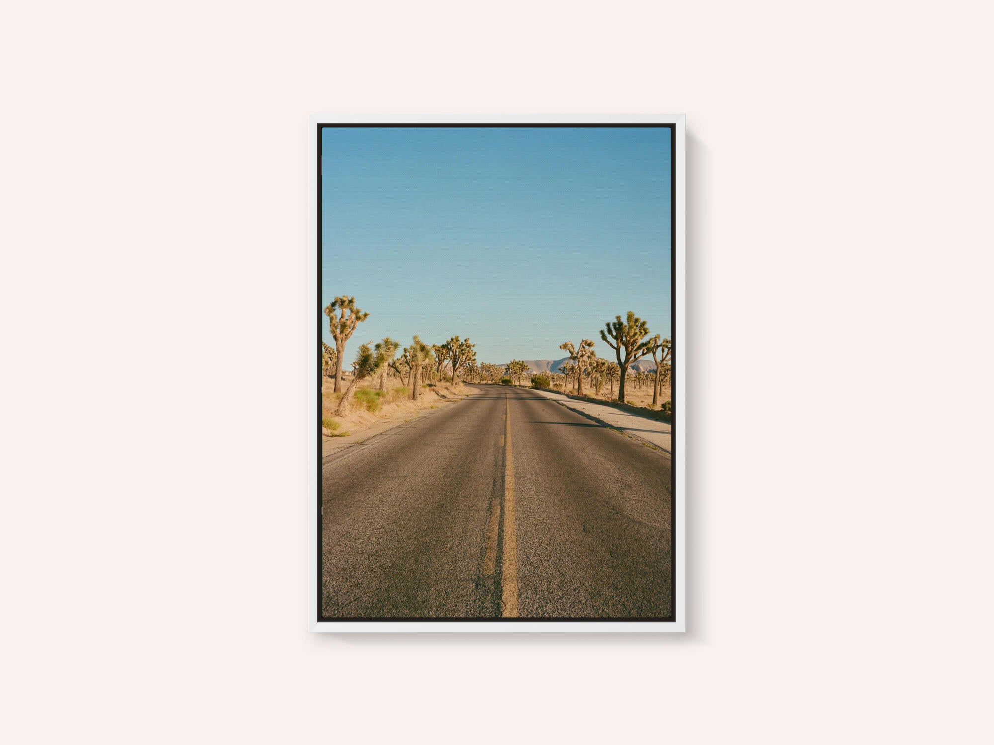 Joshua Tree Road II