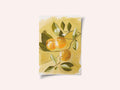Orange Tree