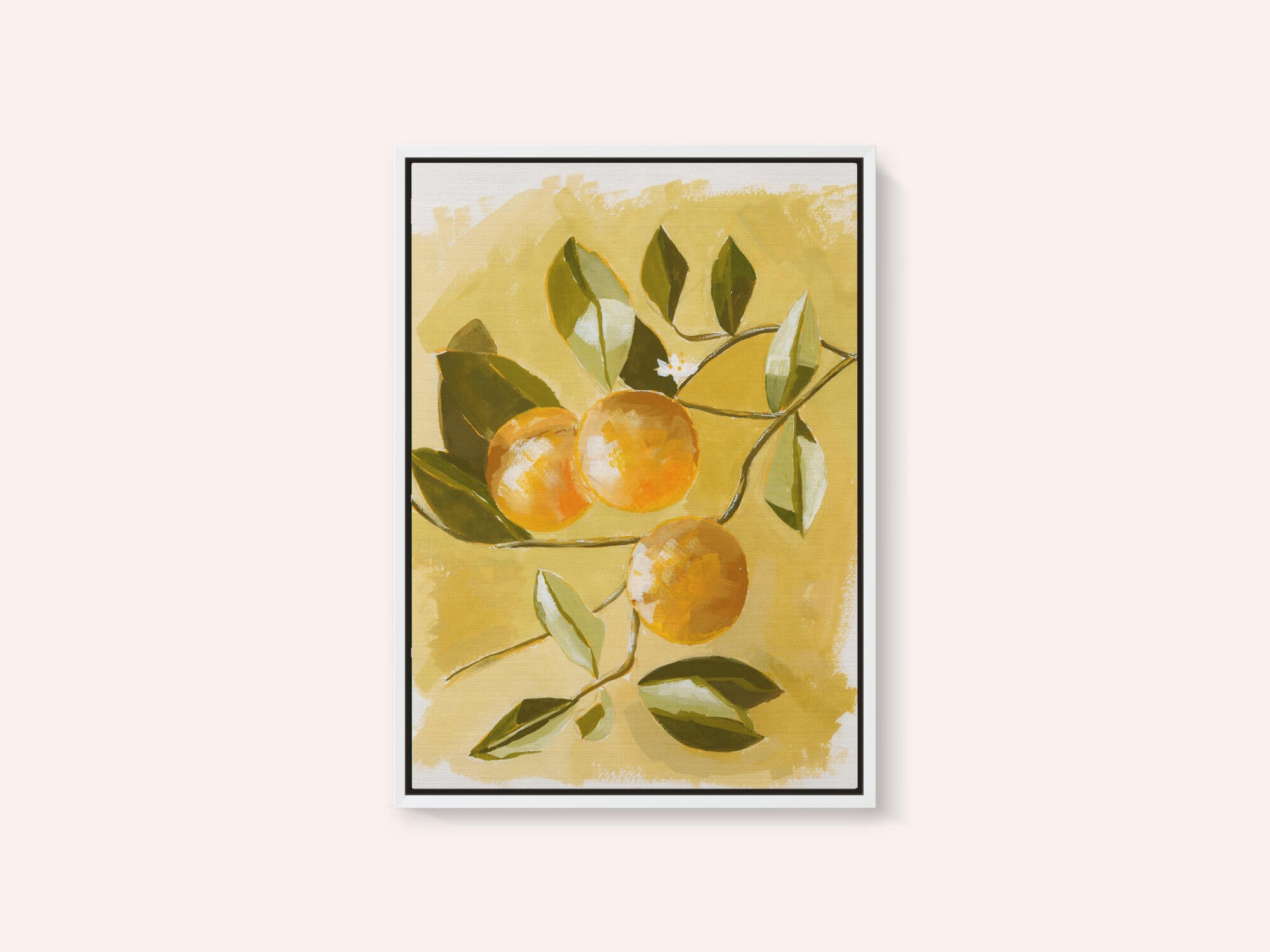 Orange Tree