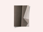 Papers and Shadows 1