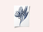 Blue Aquatic Plant Poster 2