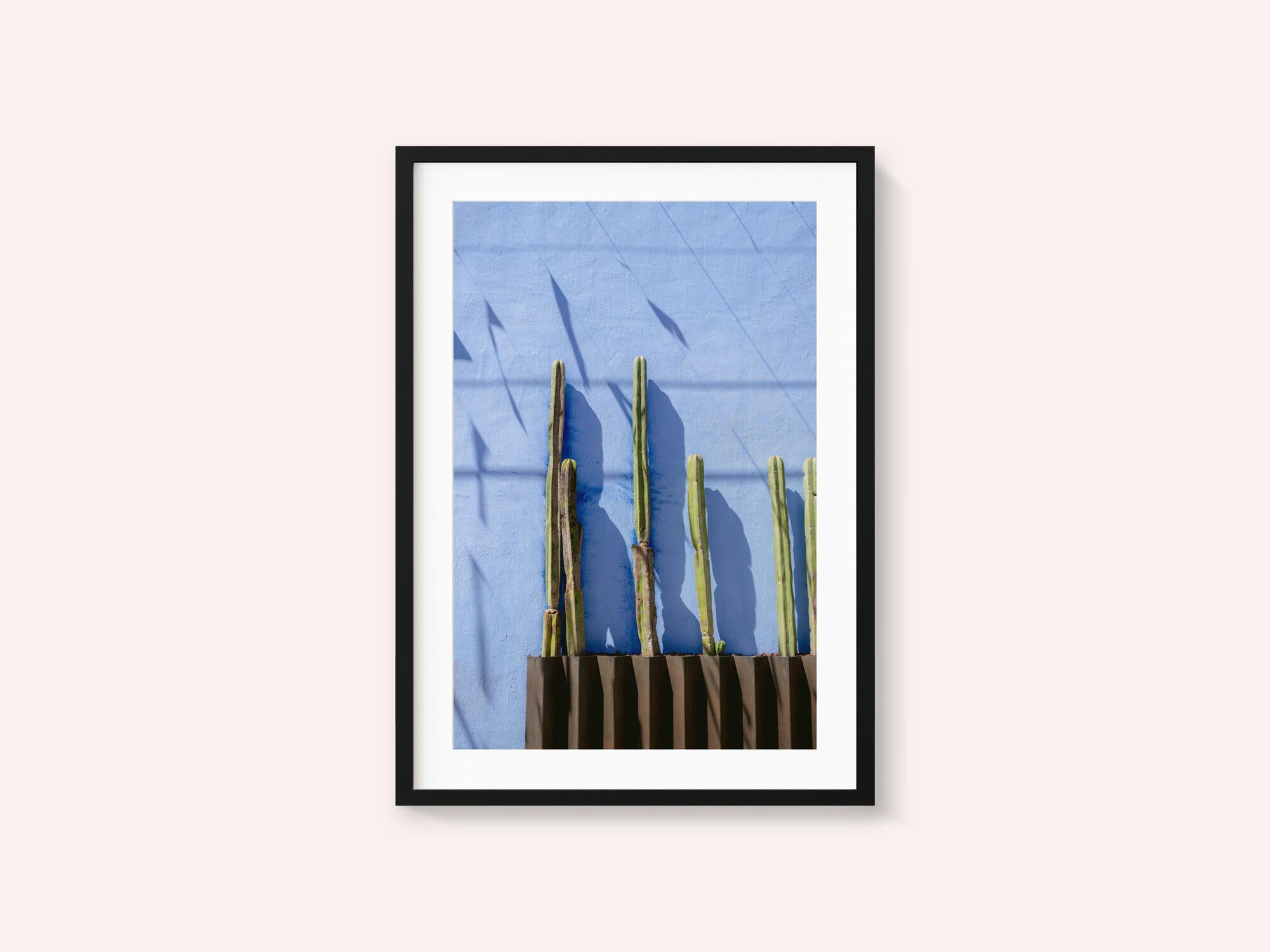Tall Cacti | Oaxaca Mexico travel photography