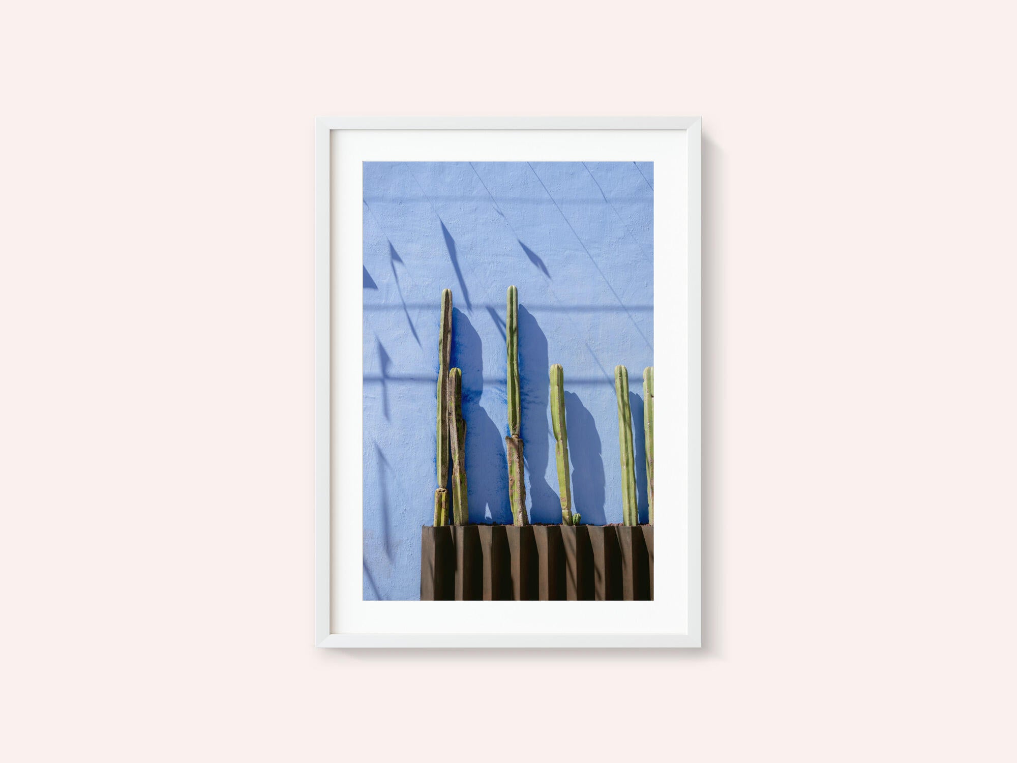 Tall Cacti | Oaxaca Mexico travel photography