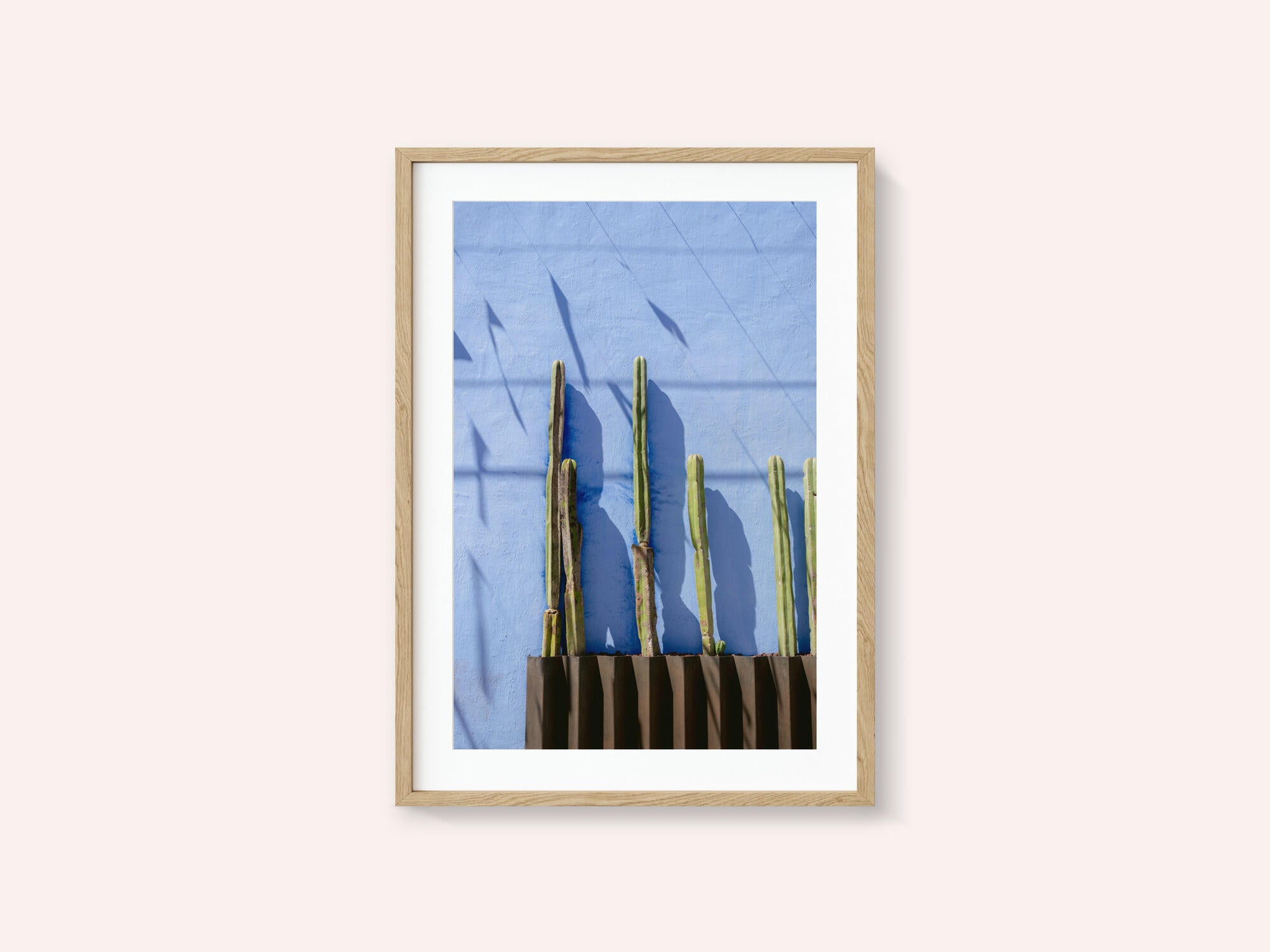 Tall Cacti | Oaxaca Mexico travel photography