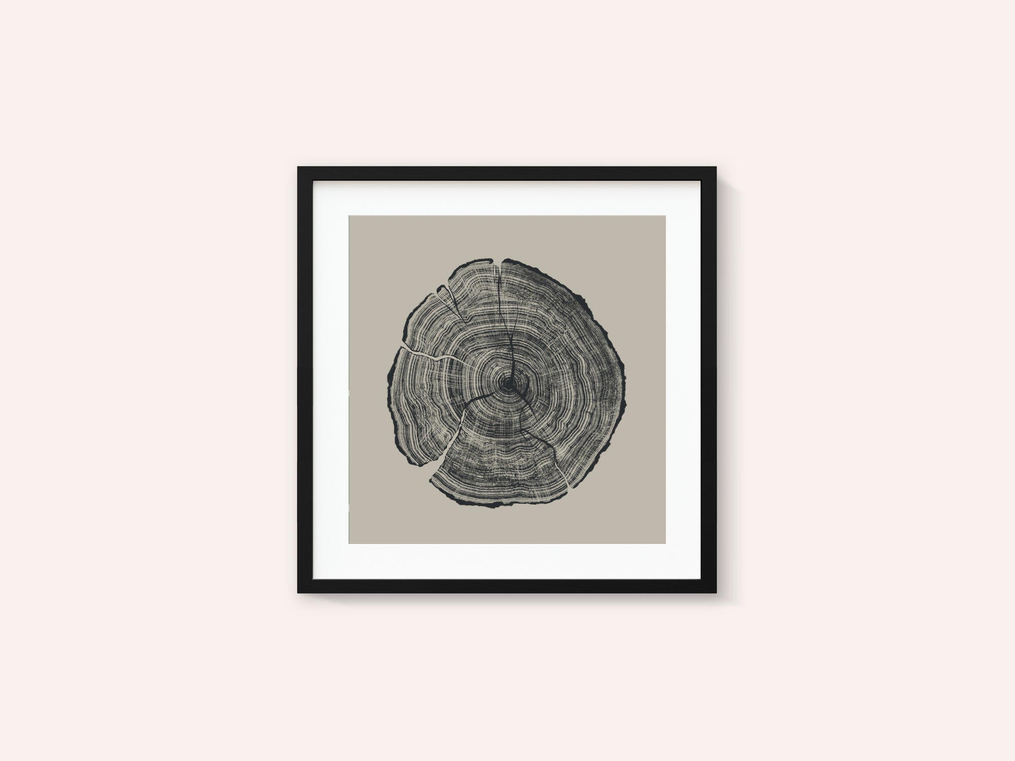 Hand Drawn Oak