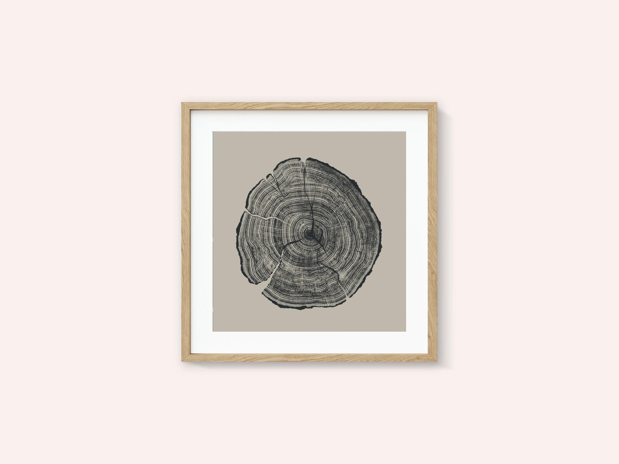 Hand Drawn Oak