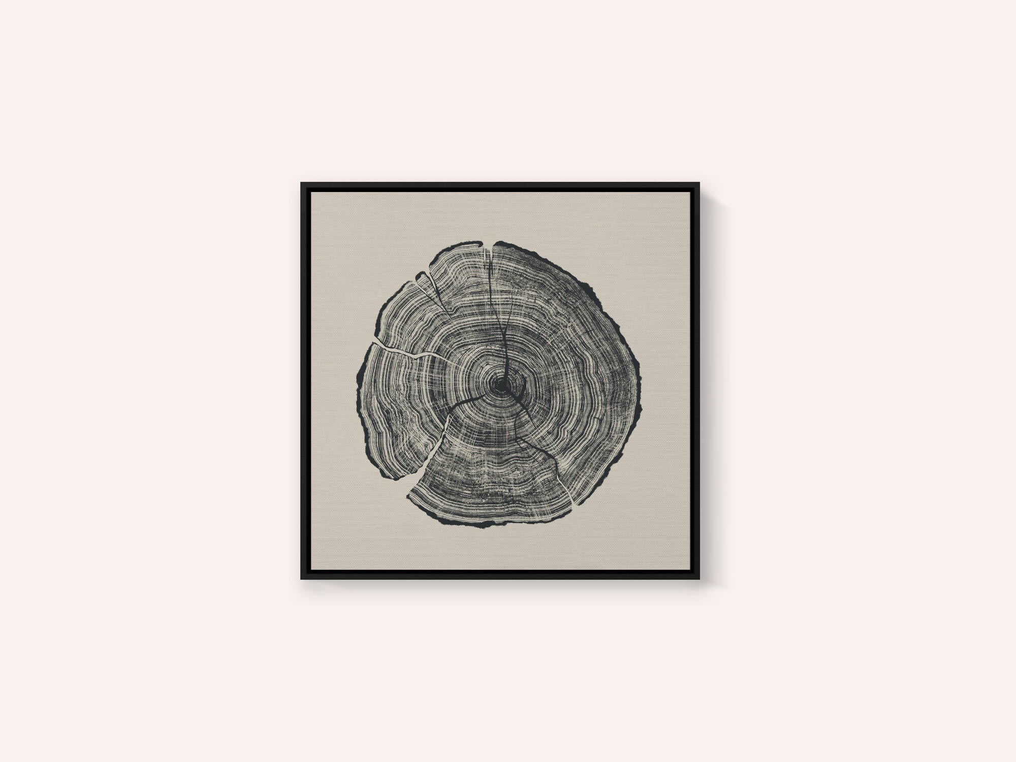 Hand Drawn Oak