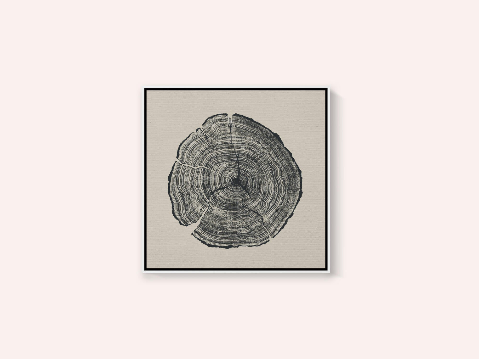 Hand Drawn Oak