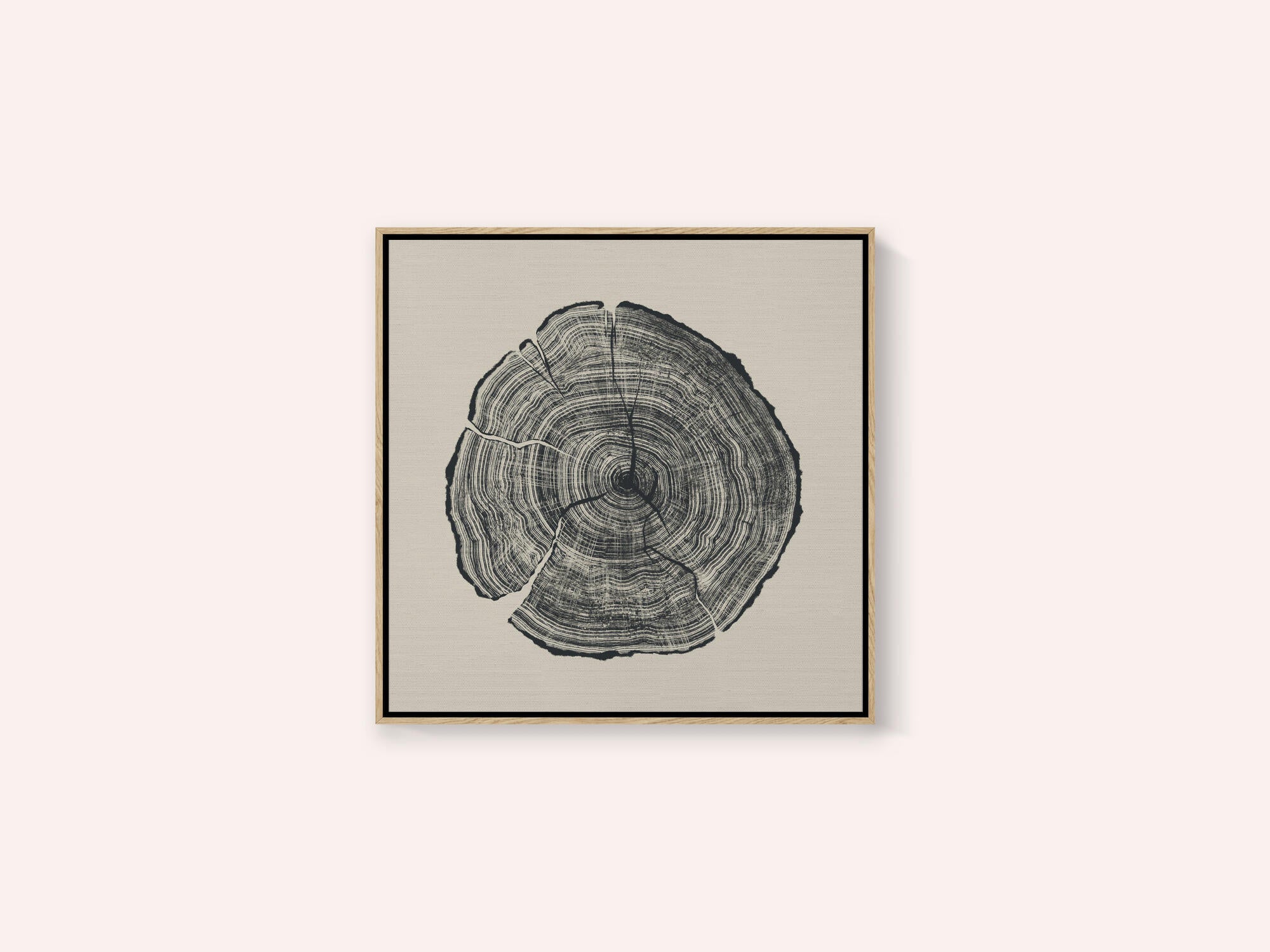 Hand Drawn Oak