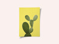 Yellow Cactus