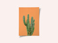 Orange Cactus