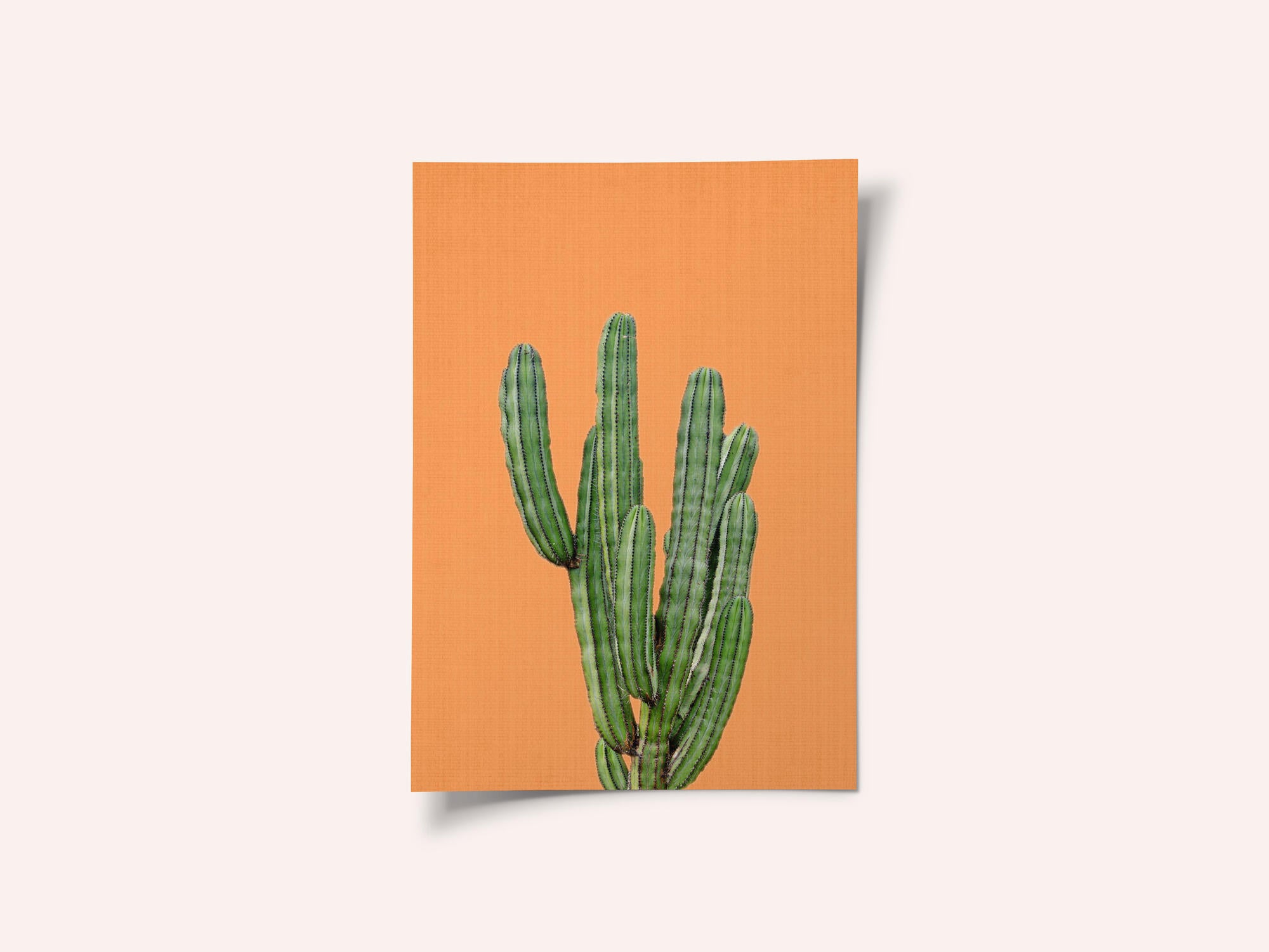 Orange Cactus