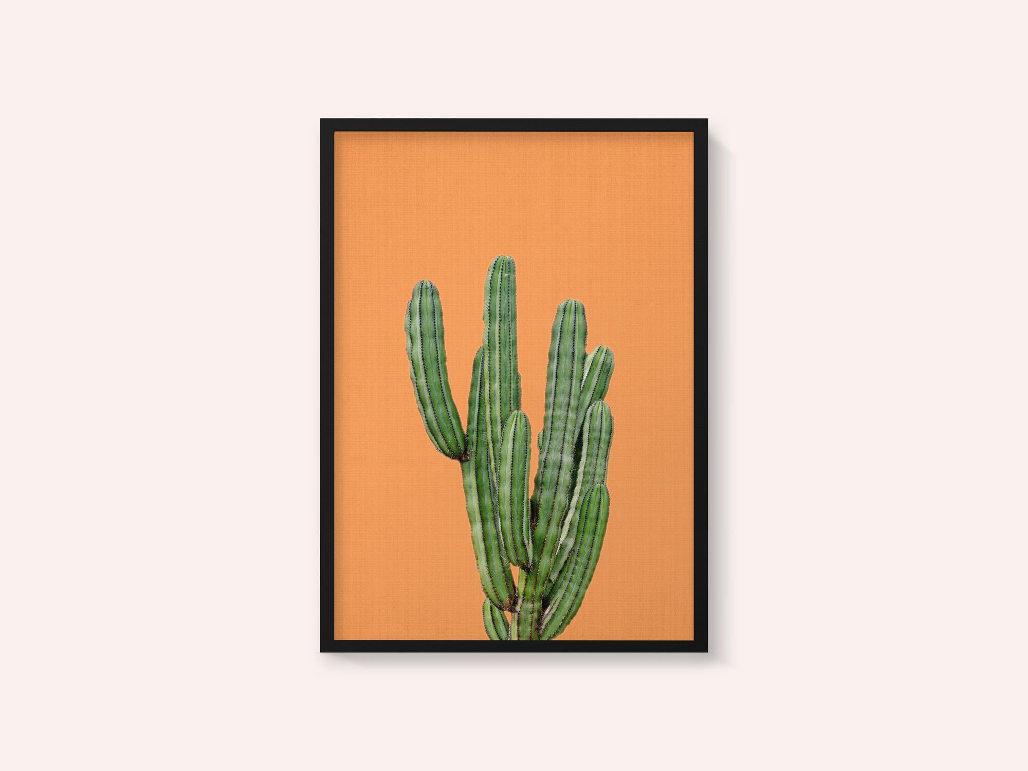 Orange Cactus