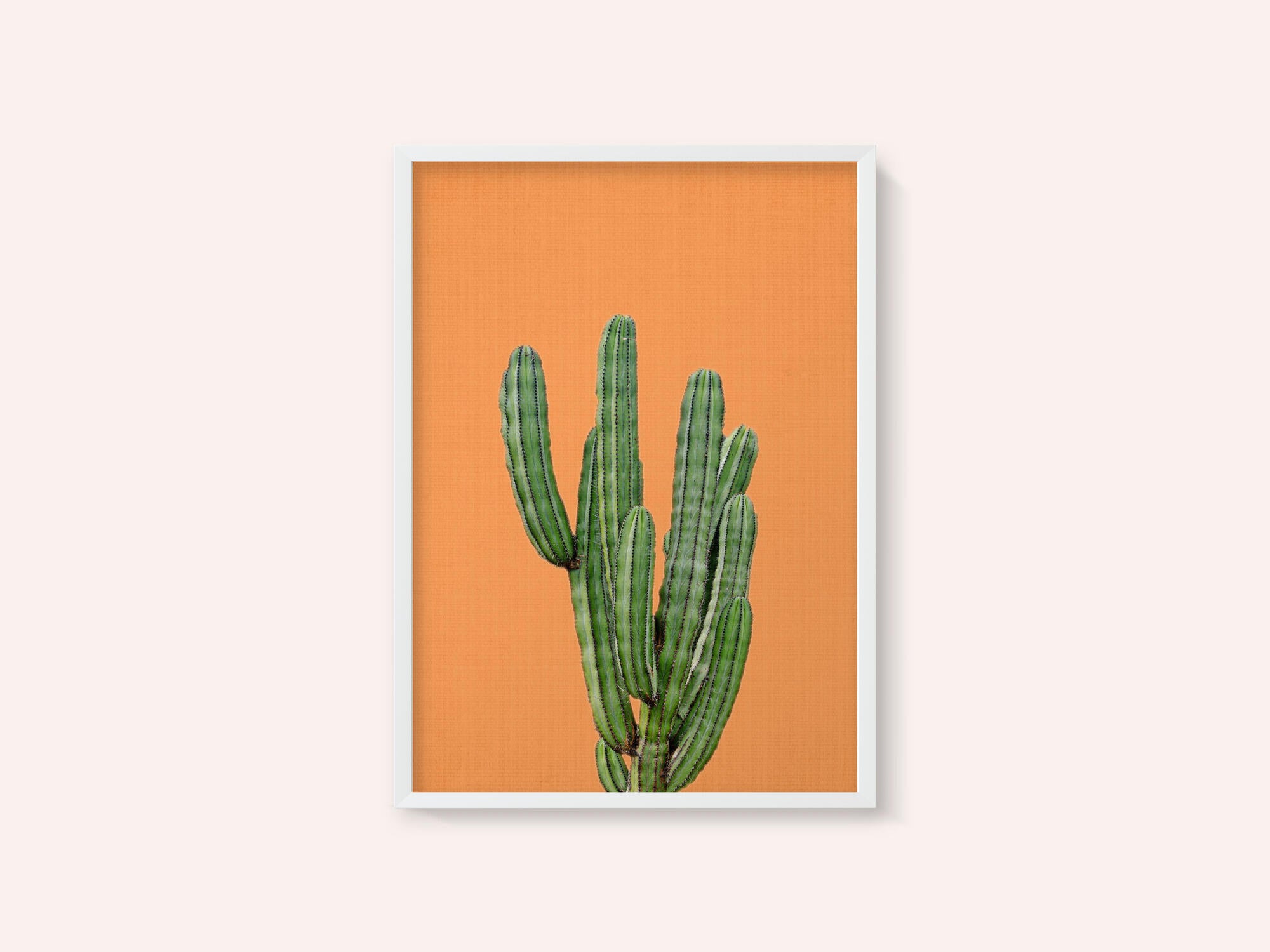Orange Cactus