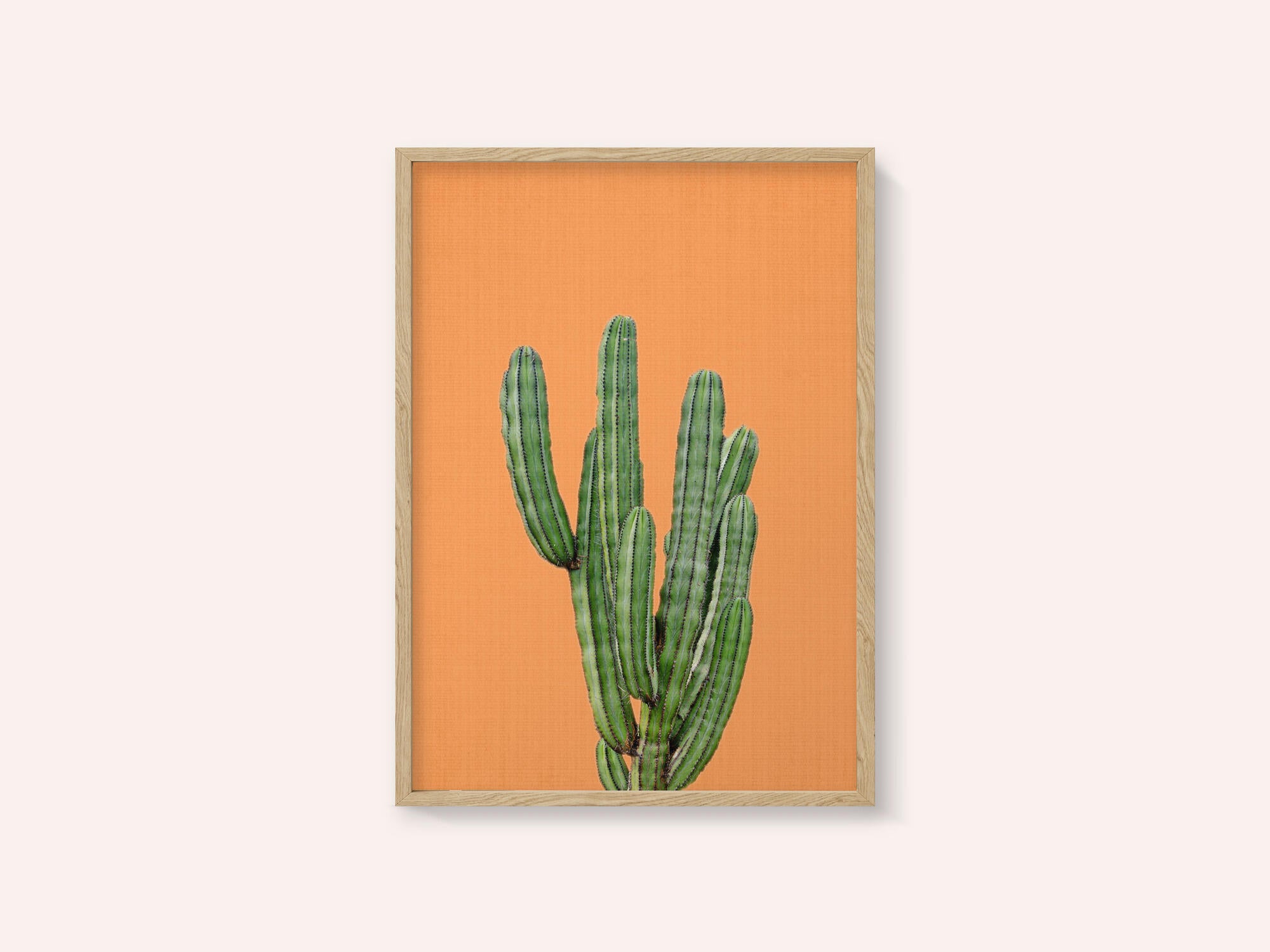 Orange Cactus