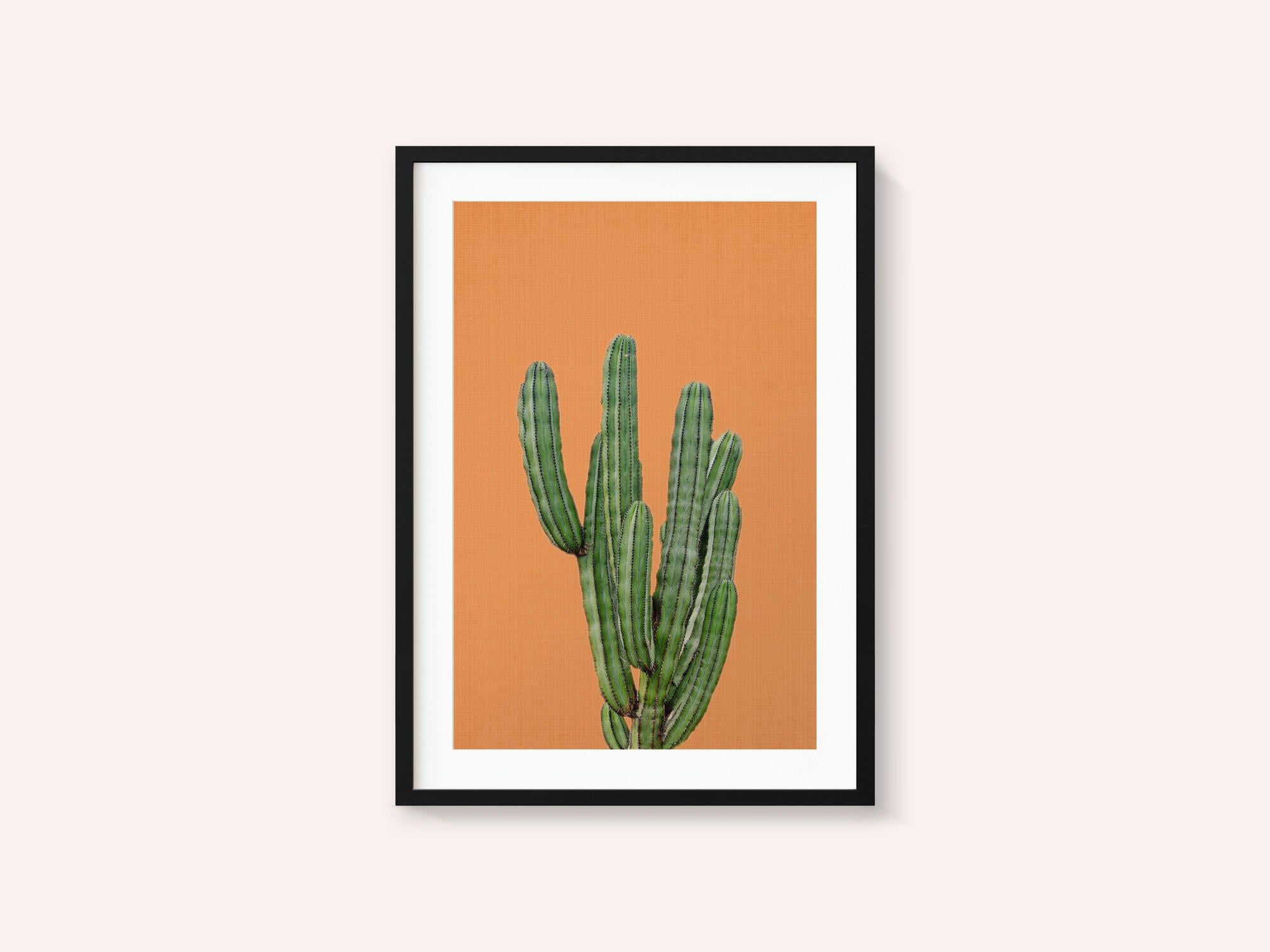 Orange Cactus