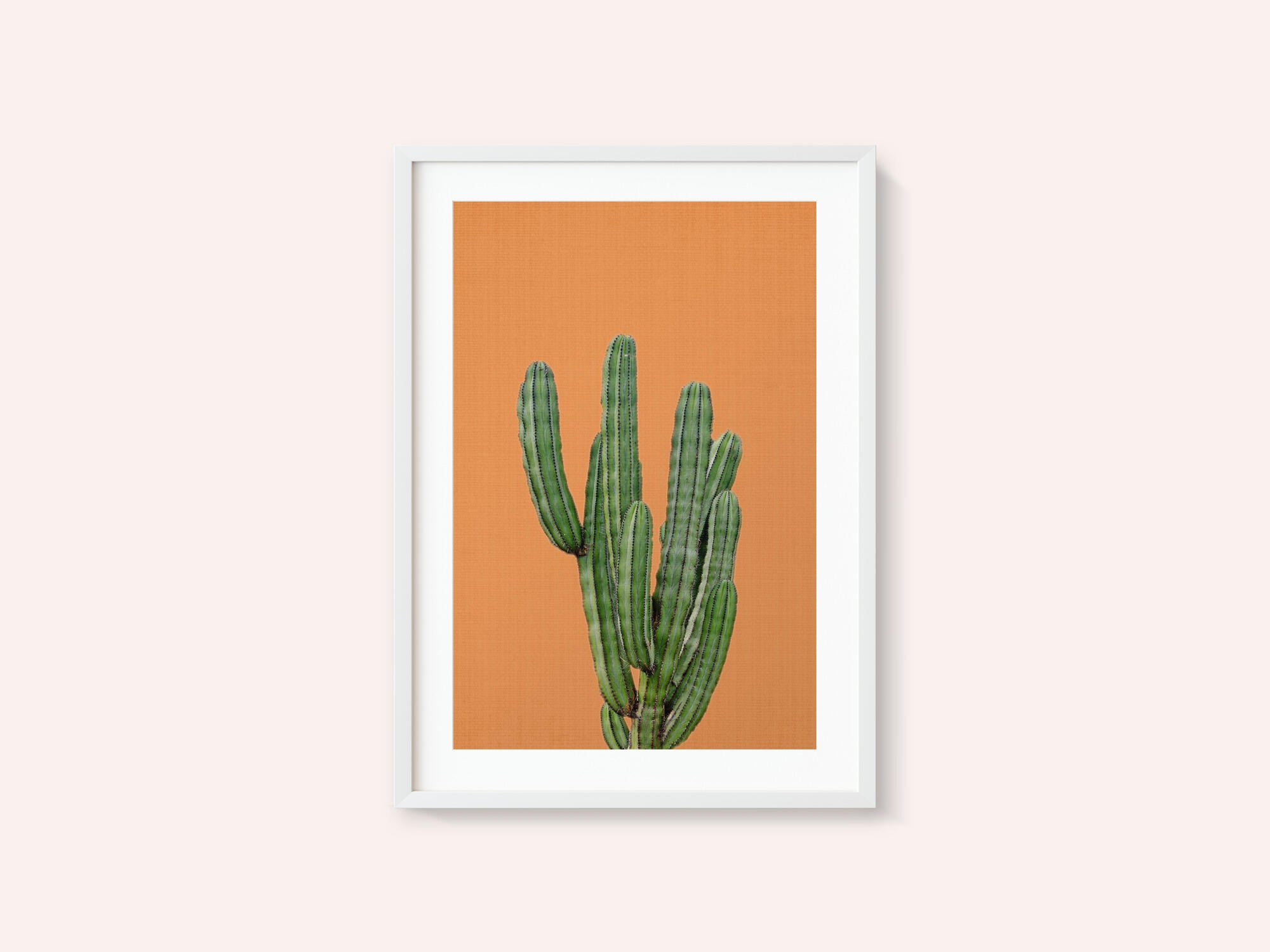 Orange Cactus