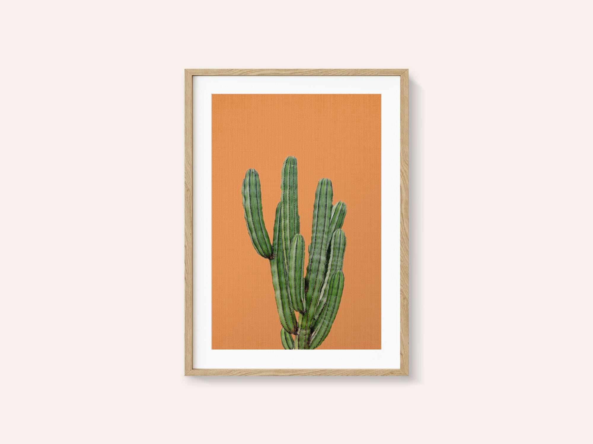 Orange Cactus