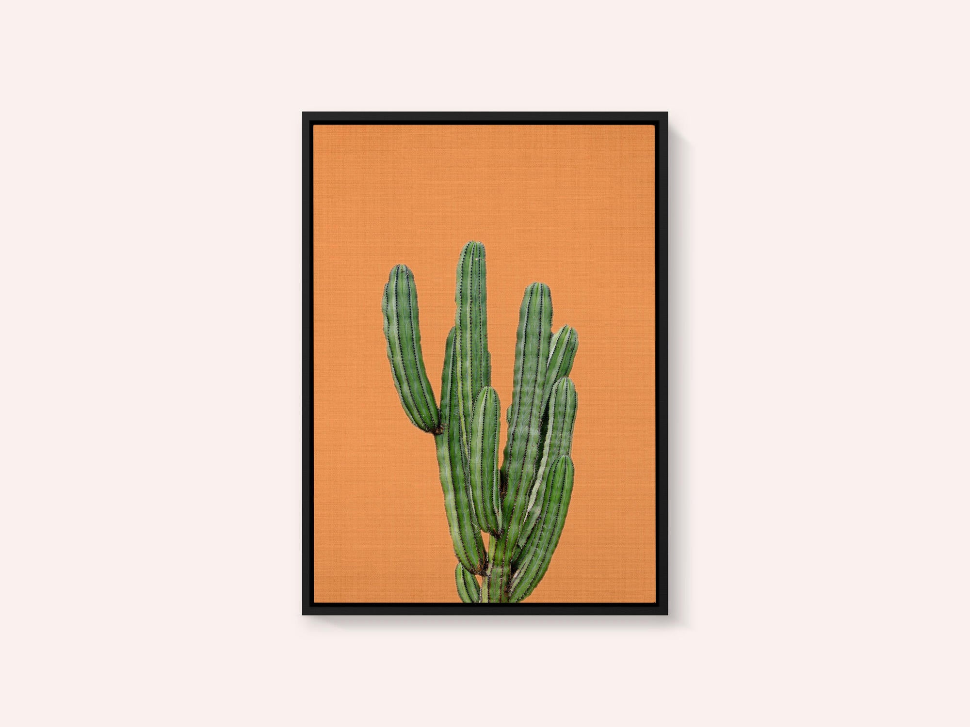 Orange Cactus