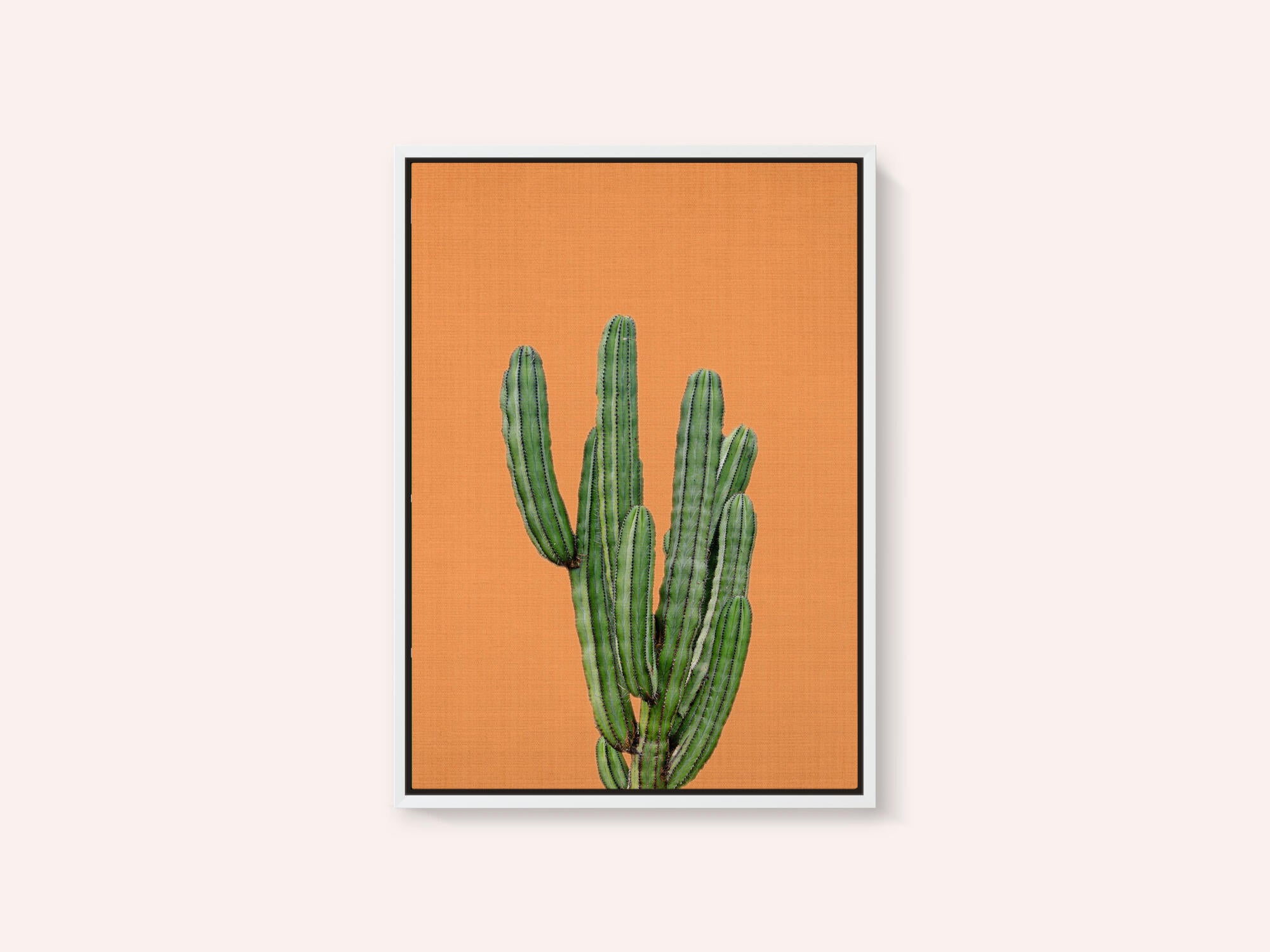 Orange Cactus
