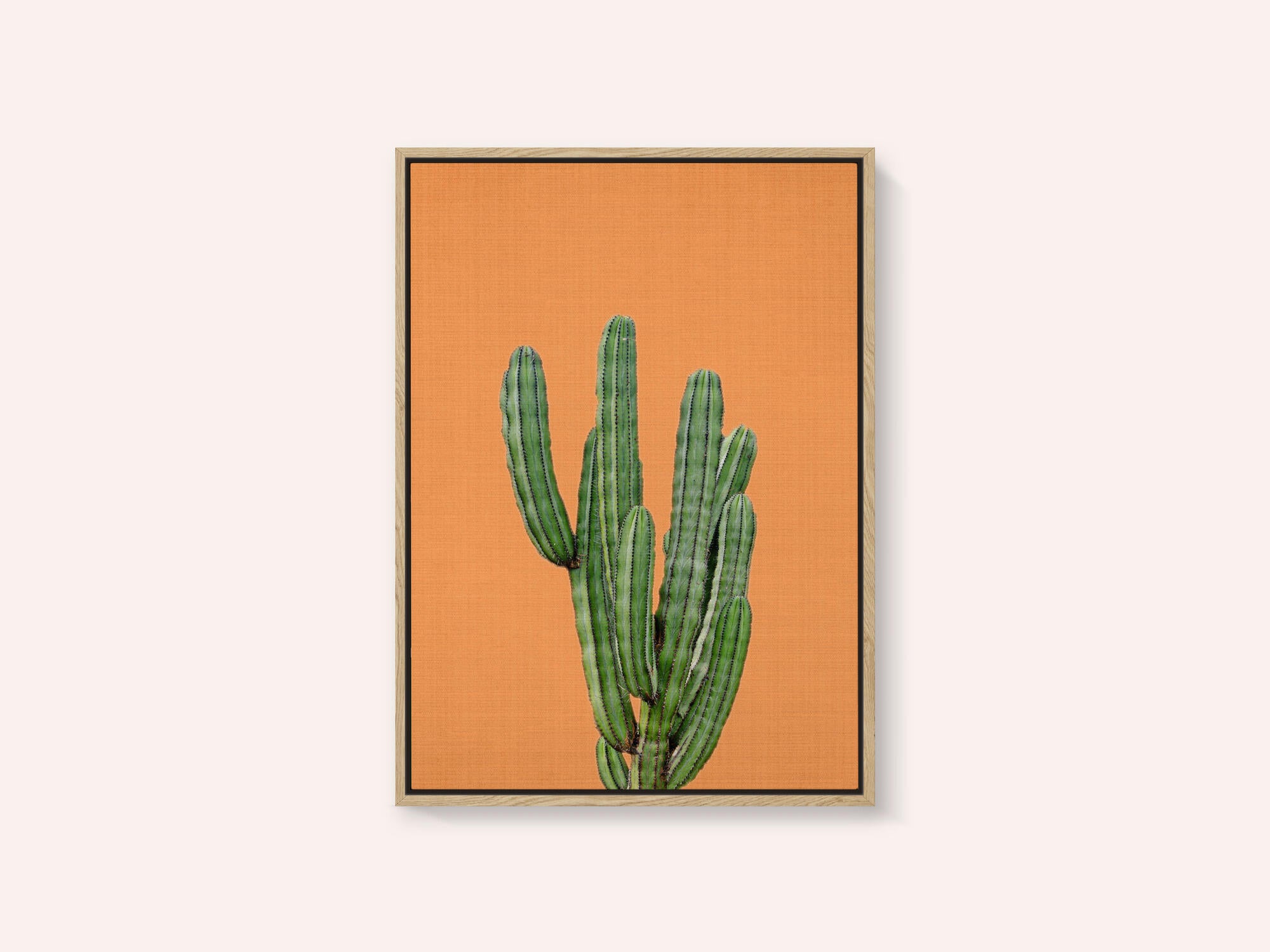 Orange Cactus