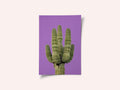 Purple Cactus