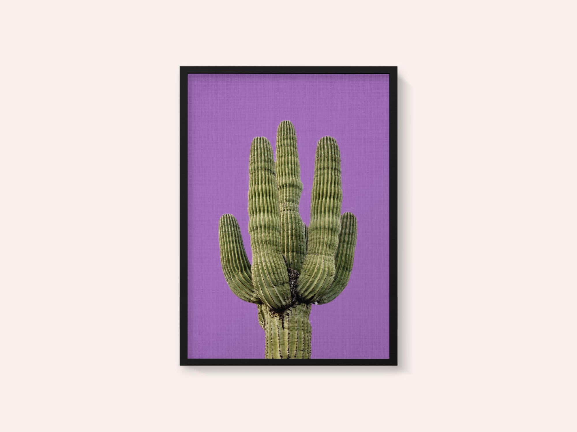 Purple Cactus