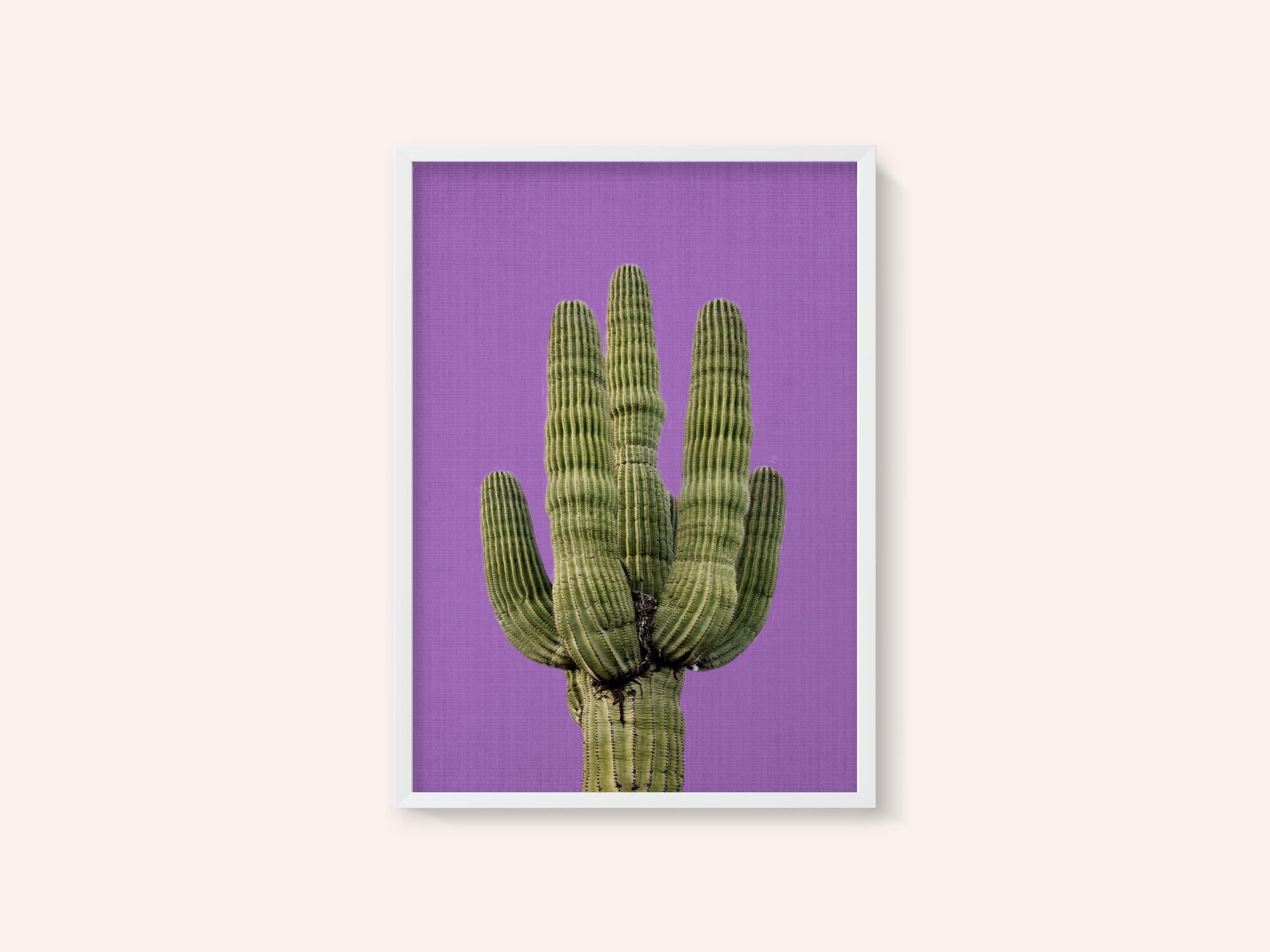 Purple Cactus