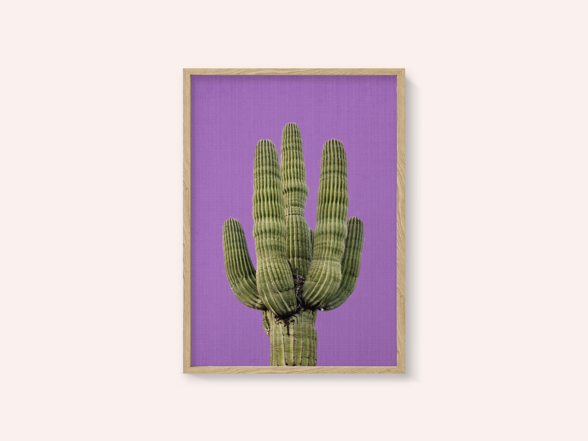 Purple Cactus