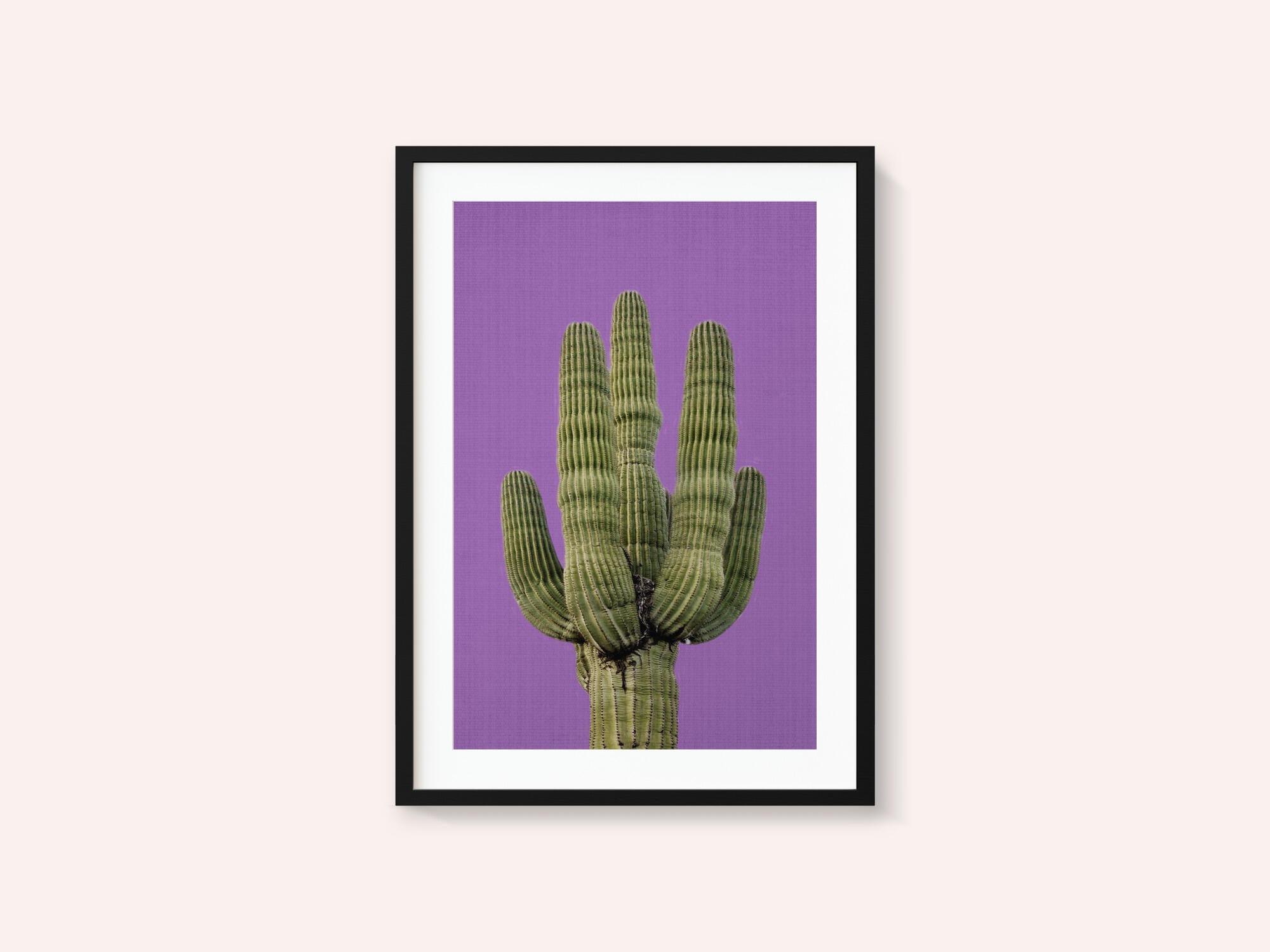 Purple Cactus