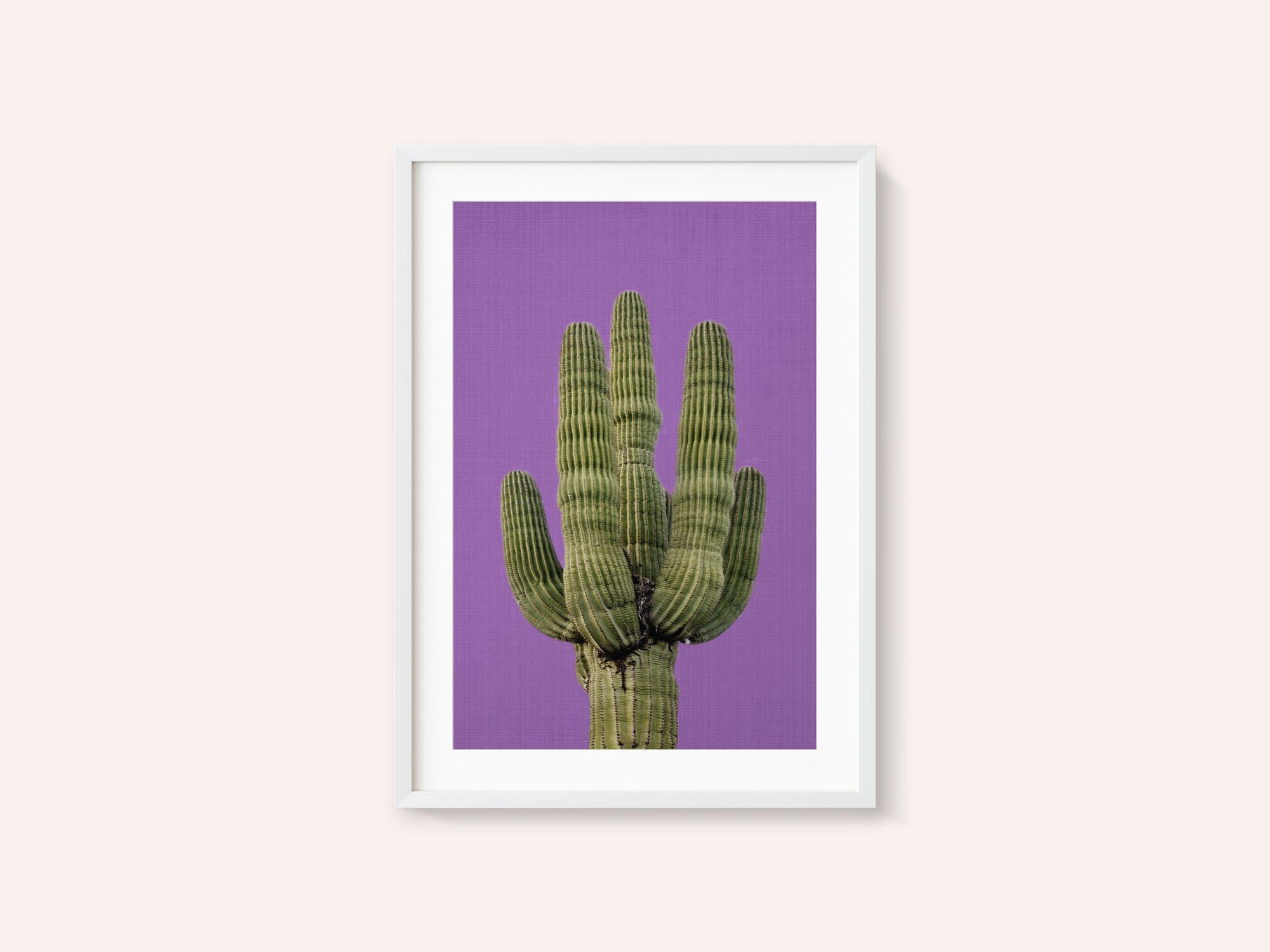 Purple Cactus