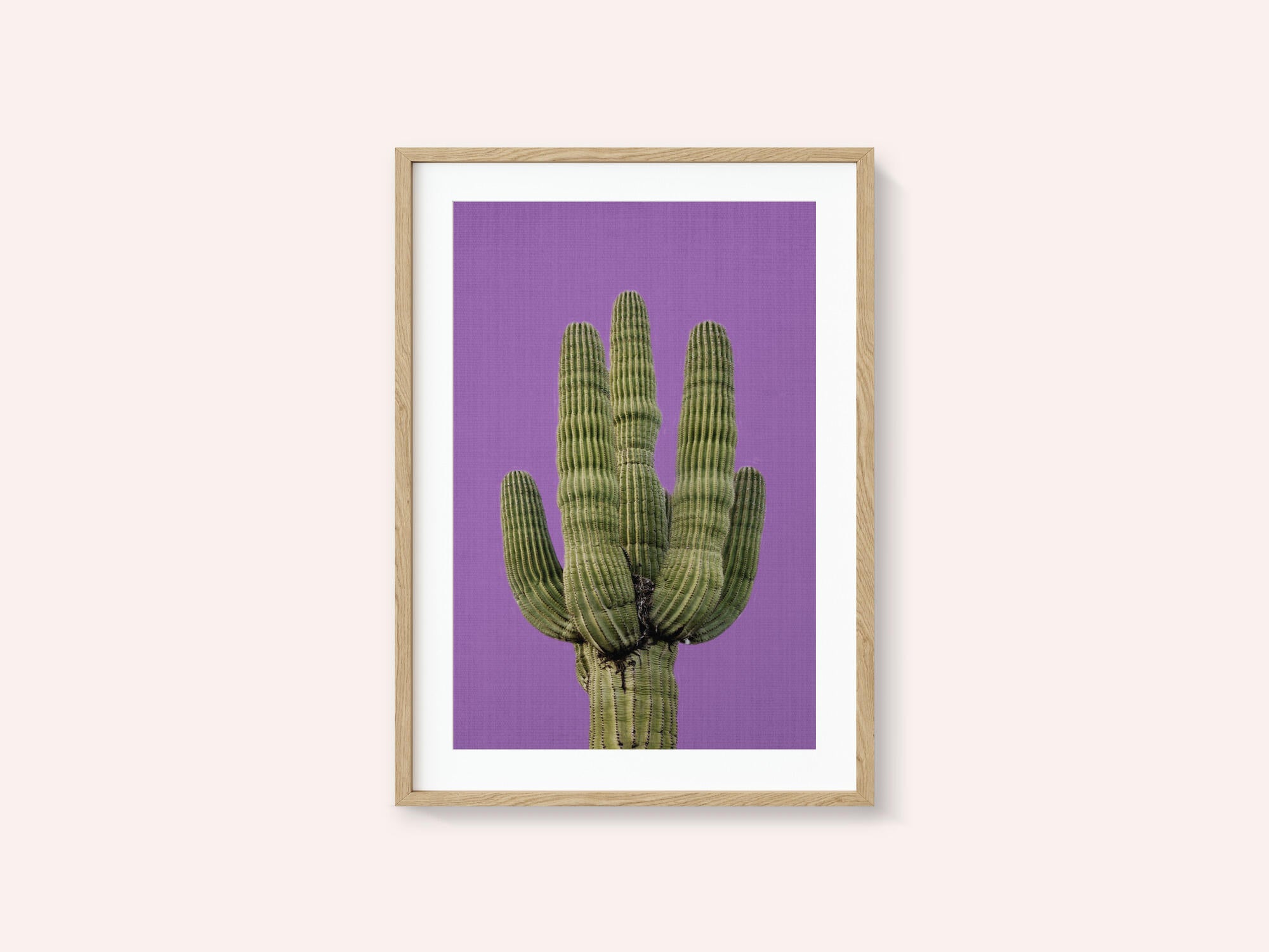 Purple Cactus