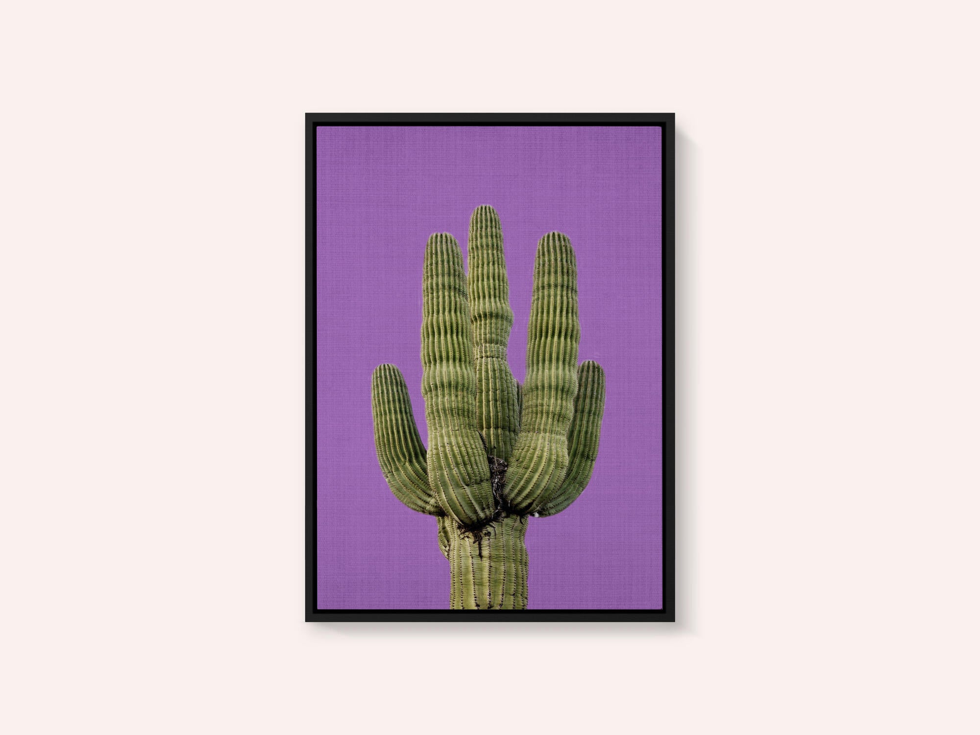 Purple Cactus