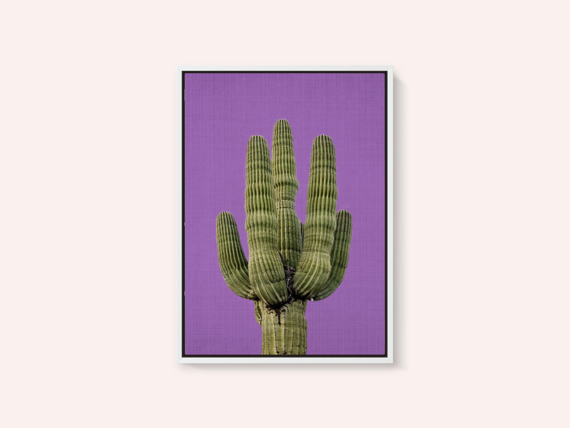 Purple Cactus