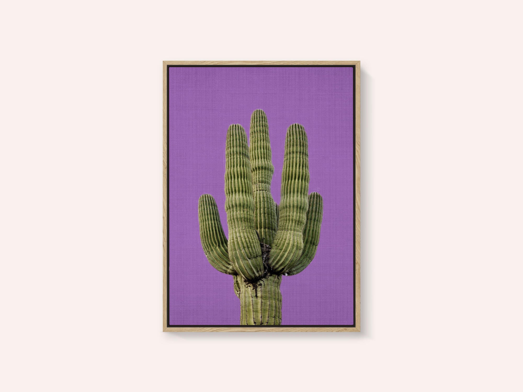 Purple Cactus