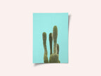 Turquoise Cactus