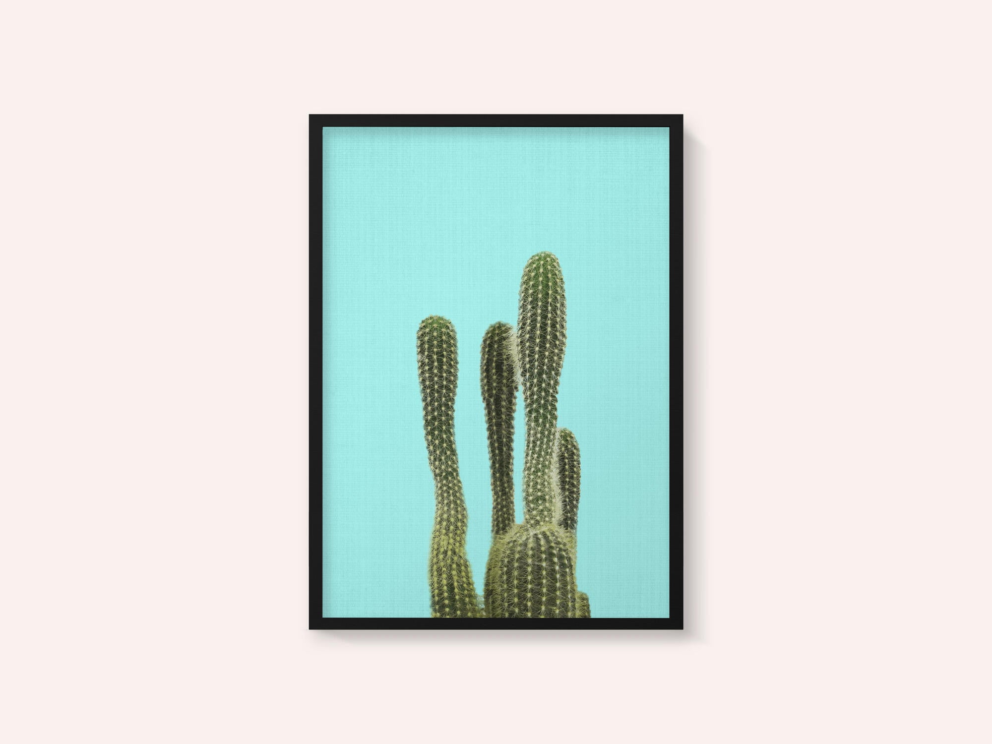 Turquoise Cactus