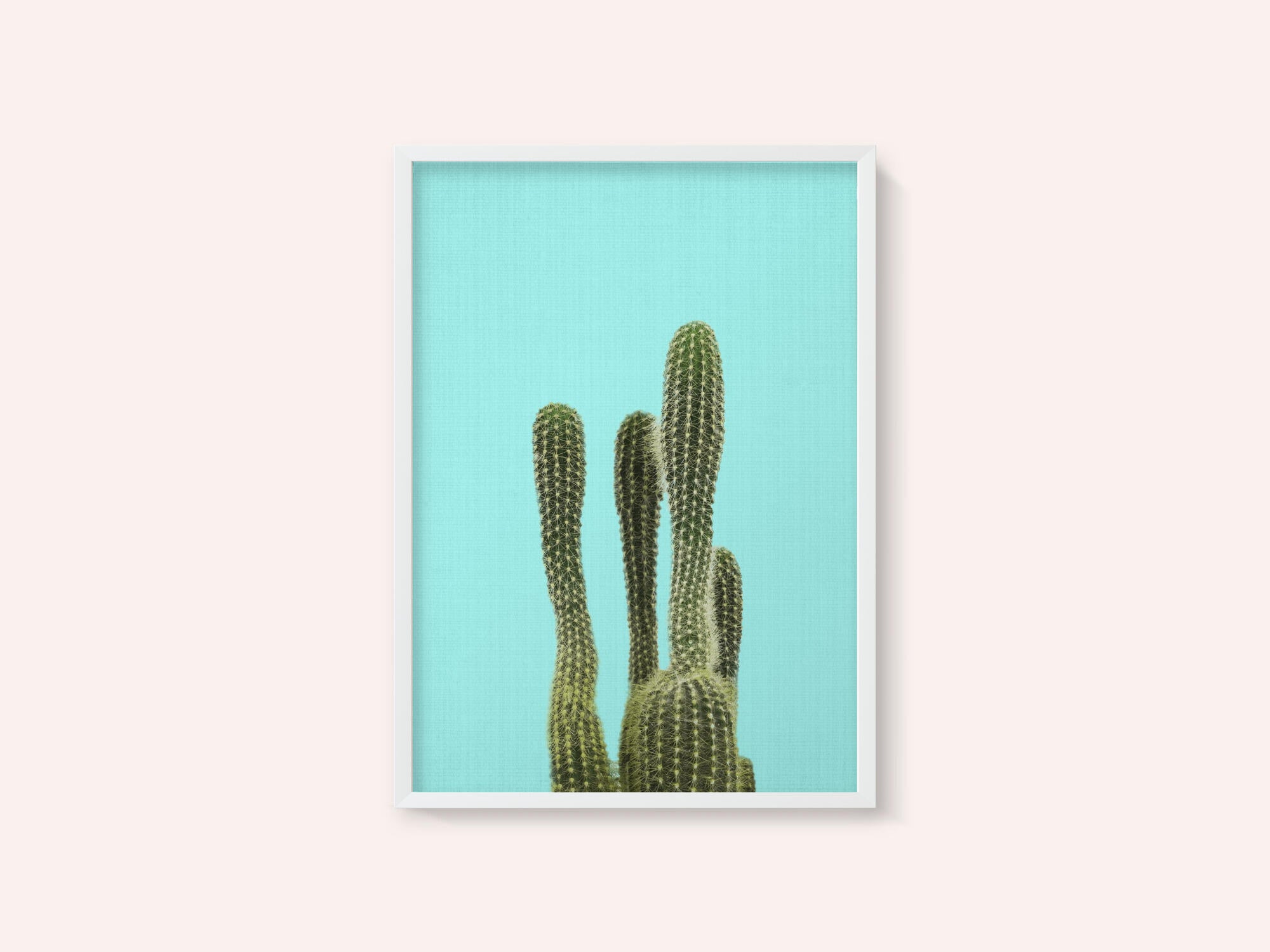Turquoise Cactus