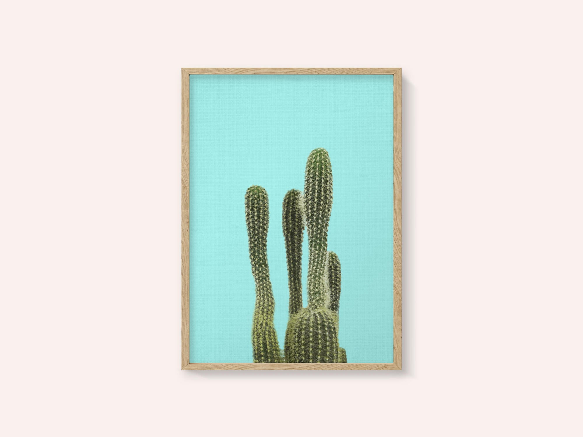 Turquoise Cactus