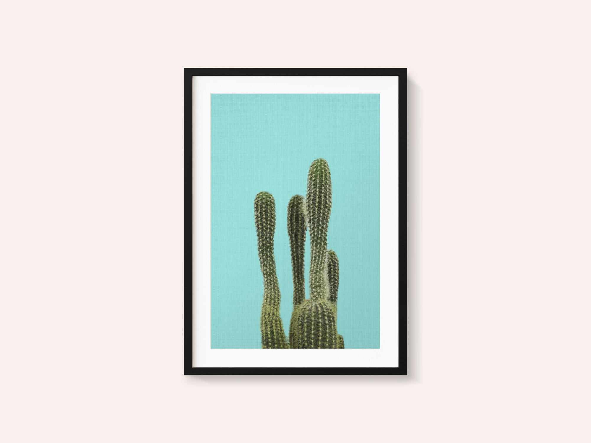 Turquoise Cactus