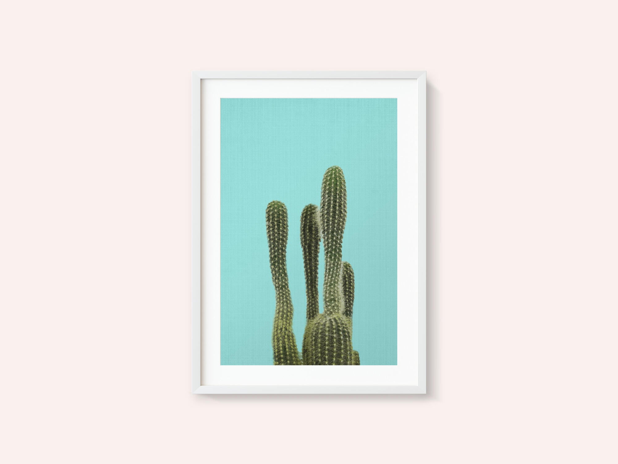 Turquoise Cactus