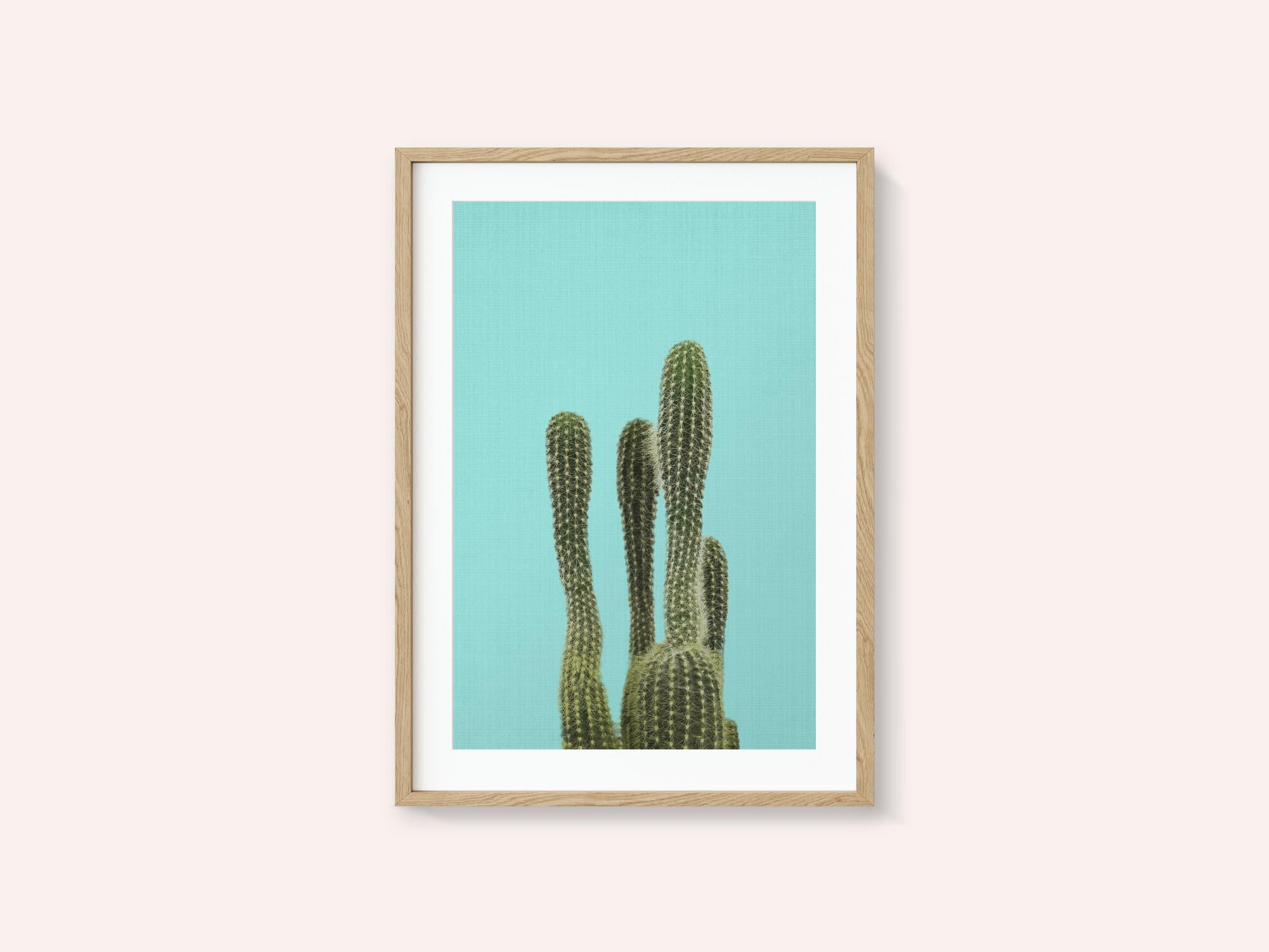 Turquoise Cactus