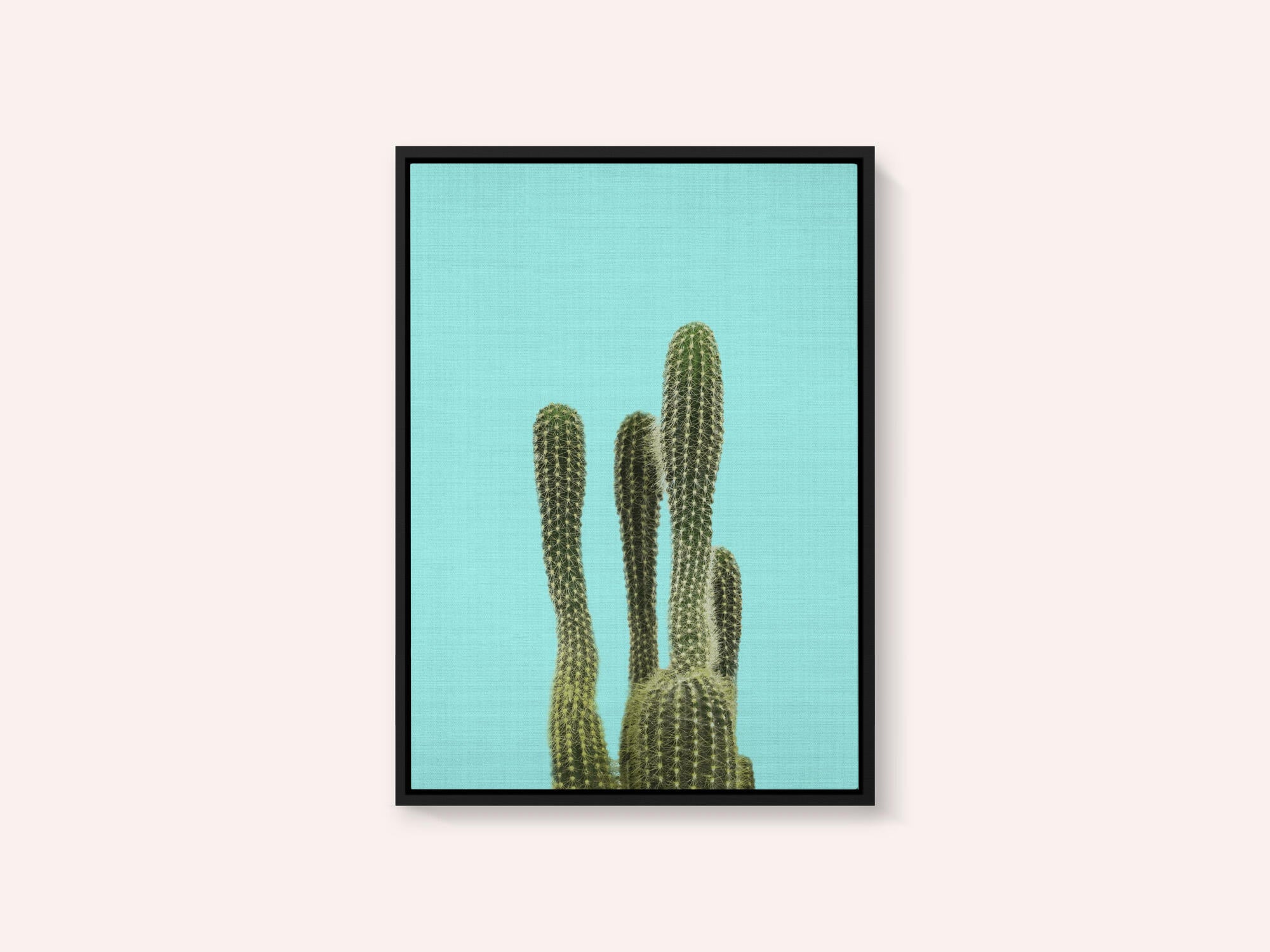 Turquoise Cactus