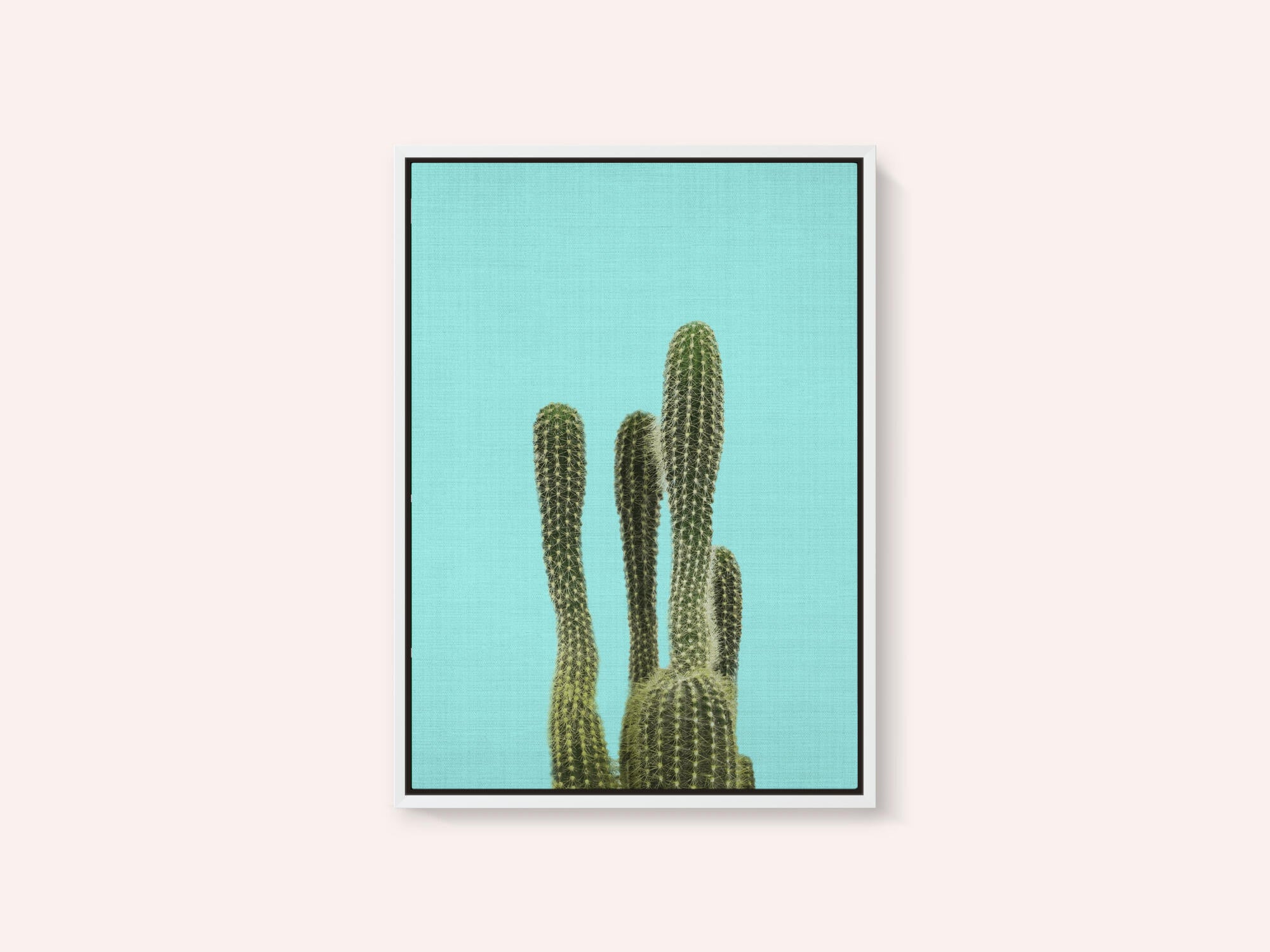 Turquoise Cactus
