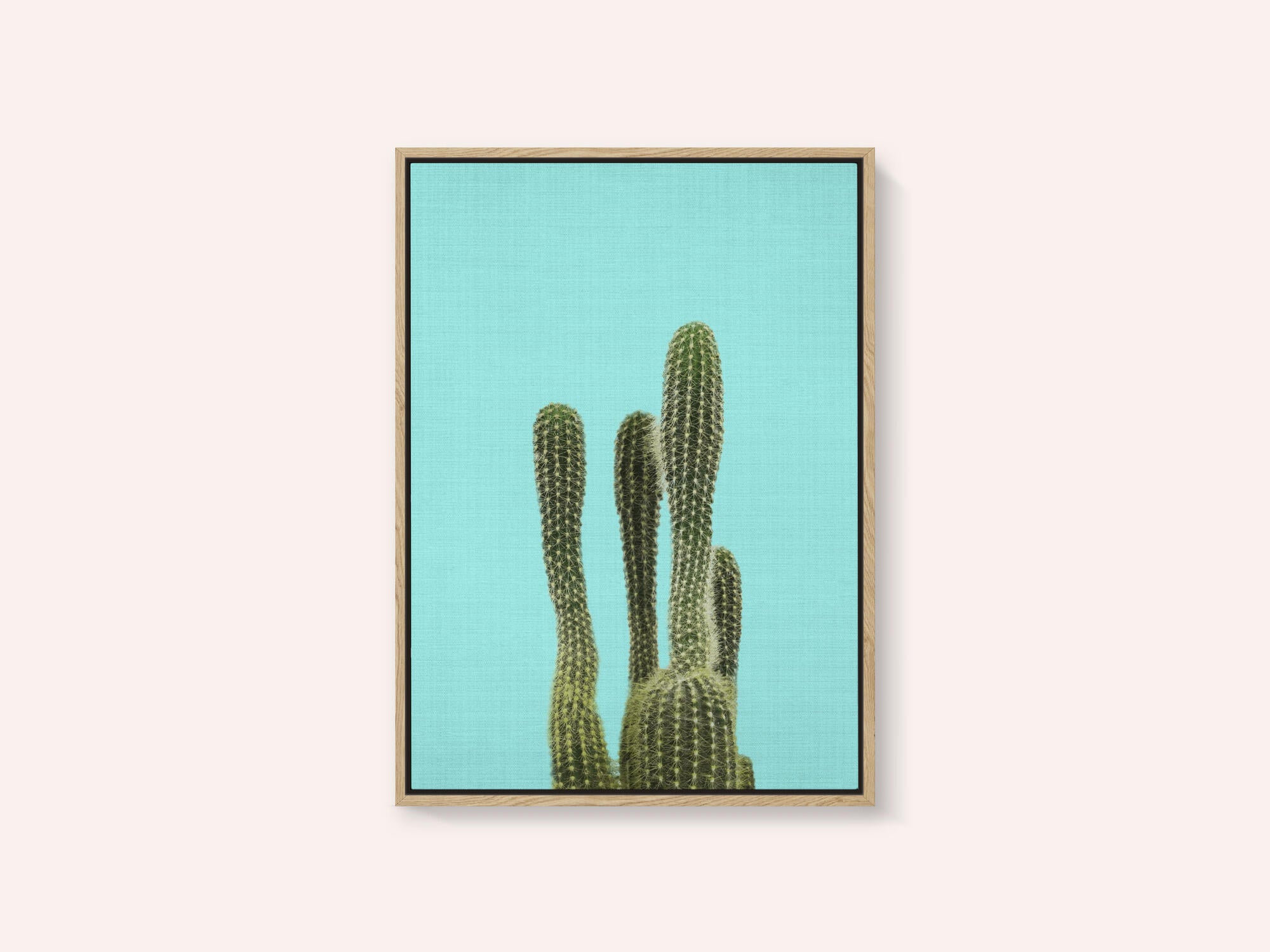 Turquoise Cactus