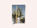 Cactus Las Vegas
