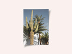Cactus Las Vegas